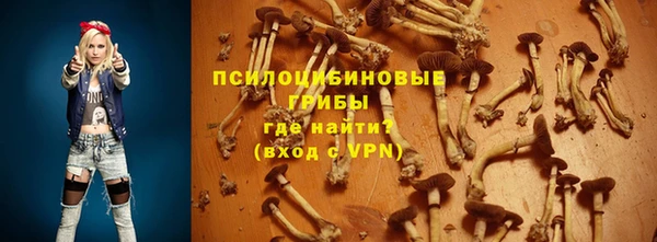 винт Алексеевка