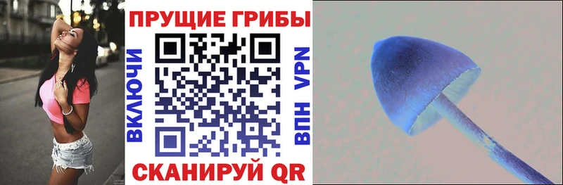 цена наркотик  Кимры  Псилоцибиновые грибы Psilocybine cubensis 